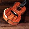 Barnes&Mullins BMUK9C ukulele koncert 